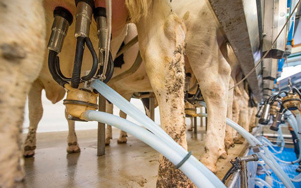 Imagen-de-Wolfgang-Ehrecke-en-Pixabay