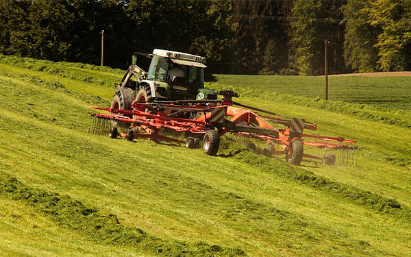 Imagen-de-S.-Hermann-&-F.-Richter-en-Pixabay