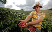 Caf&eacute; de Colombia despierta a 108 pa&iacute;ses con una joya expresada en taza