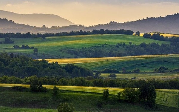 Bill Gates ahora es el mayor propietario de tierras de cultivo de EEU