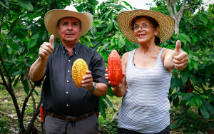 En Putumayo, cacaoteros reciben espaldarazo