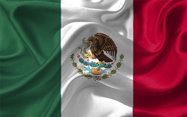 Inversi&oacute;n de M&eacute;xico cae 11,3% a tasa anual en noviembre