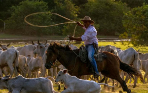 Caribabare: reconocen primer t&iacute;tulo real de tierras, vienen reclamaciones