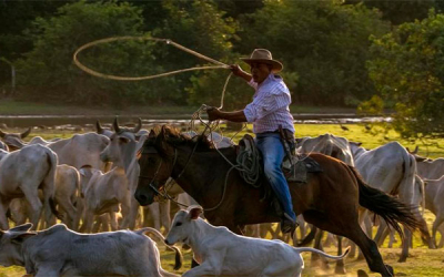 Caribabare: reconocen primer t&iacute;tulo real de tierras, vienen reclamaciones
