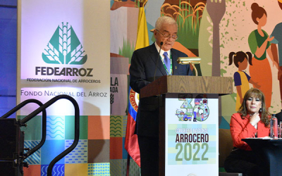 Arroceros le apuestan al desarrollo rural con respaldo del gobierno