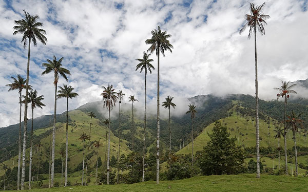 Alianza entre gobierno, gremios y MiLAB apunta a sostenibilidad empresarial