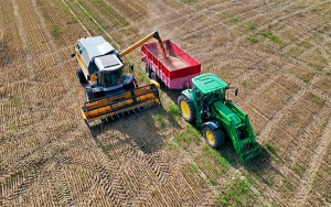 Importaciones, contrabando y abandono: sector agropecuario en bancarrota