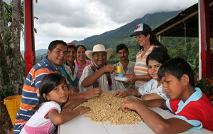 Cafeteros plantean temas prioritarios al gobierno en actual coyuntura
