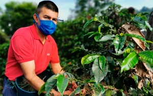 Caficultores del Huila piden cordura y respaldan el di&aacute;logo social