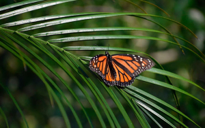 Gremca, rompiendo paradigmas: El agua y el aceite s&iacute; se pueden juntar
