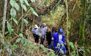 Constructores invitan a superar &ldquo;el s&iacute;ndrome del concreto"