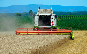 Colombia import&oacute; en 2024 cerca de 12 millones de toneladas en cereales