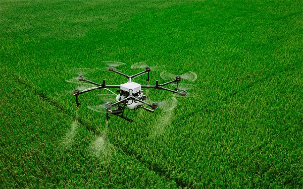 Gobierno puso la plata para almacenamiento del arroz