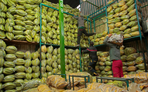 Segundo semestre tendr&iacute;a menores precios por cosecha de 26 productos