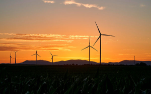 Contribuci&oacute;n del 20% a industria es regresiva, afecta competitividad: Asoenerg&iacute;a