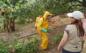 Solo an&aacute;lisis de riesgo determinan si fungicidas dan c&aacute;ncer