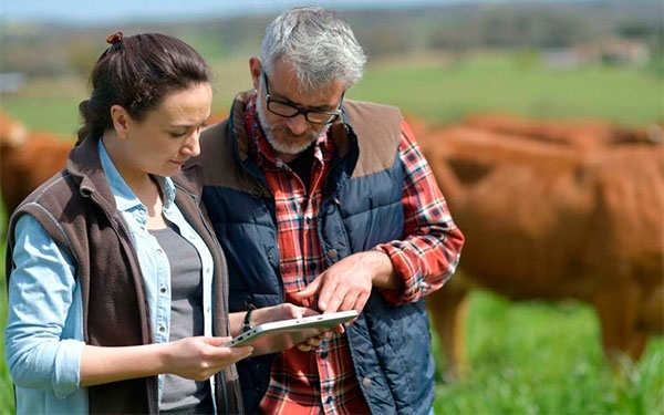 Conexi&oacute;n agr&iacute;cola, la verdadera articulaci&oacute;n del campo