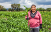 Syngenta lanza nuevo m&oacute;dulo: convivencia entre agricultura y biodiversidad