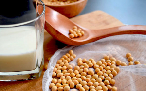 Sustitutos vegetales, m&aacute;s saludables que alimentos de origen animal