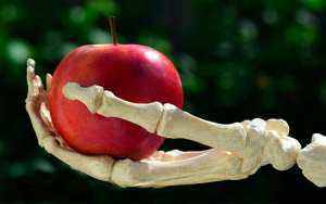 Hipocres&iacute;a agroqu&iacute;mica: &iquest;envenena la UE a Sudam&eacute;rica ganando dinero?