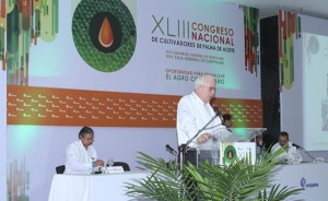 Palmicultores rechazan atentados de las Farc en Tumaco