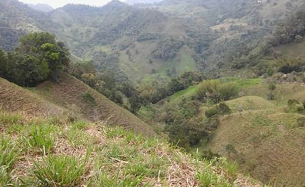 Restituci&oacute;n de tierras entre voluntad, avivatos, minas y acciones militares