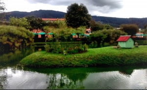 En temas tributarios no hay convergencia  del gobierno con la Comisi&oacute;n:Sarmiento