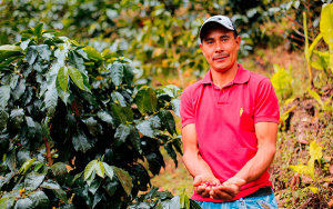 Caficultores de Boyac&aacute; tienen todo listo para las elecciones cafeteras