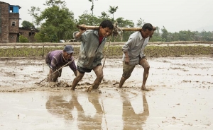 Trabajadores, m&aacute;s de 15 a&ntilde;os con la totuma en la mano: CUT