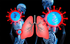 &iquest;Qu&eacute; ocurre en el cuerpo una vez que nos contagiamos de coronavirus?