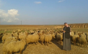 La FAO vincula la seguridad alimentaria y la crisis de los refugiados