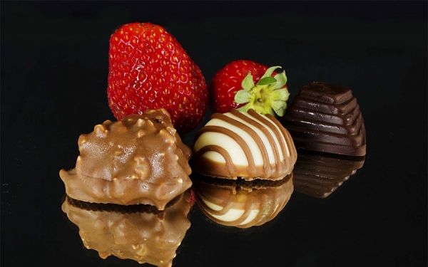 En 29% creci&oacute; producci&oacute;n de cacao en el primer trimestre