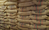 Ejecutivo firma pr&oacute;rroga de administraci&oacute;n del Fondo Nacional del Caf&eacute;