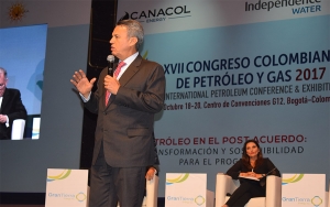 Consultas populares entorpecen el desarrollo del pa&iacute;s: Lizarralde