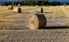 L&iacute;deres africanos piden eliminar las ayudas agr&iacute;colas en pa&iacute;ses desarrollados