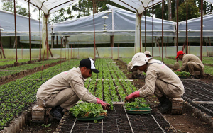 Productores a evitar que clima de inicio del a&ntilde;o los tome desprevenidos