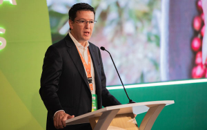 Producci&oacute;n cafetera de 2024 supera los 13,41 millones de sacos: Germ&aacute;n Baham&oacute;n