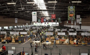 Agroexpo abri&oacute; sus puertas