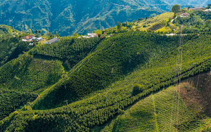 OIC: Colombia, bien en regulaci&oacute;n de Pacto Verde