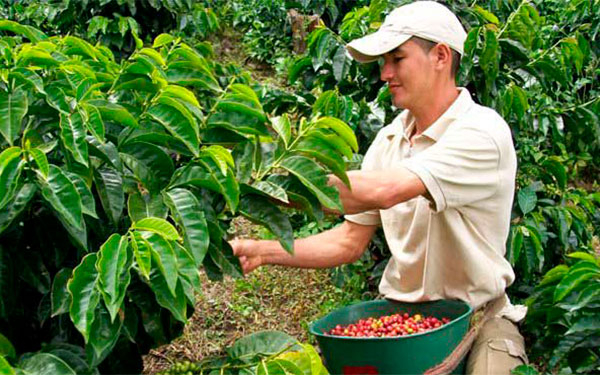 FNC y USAID firman memorando de entendimiento para formalizaci&oacute;n de tierras