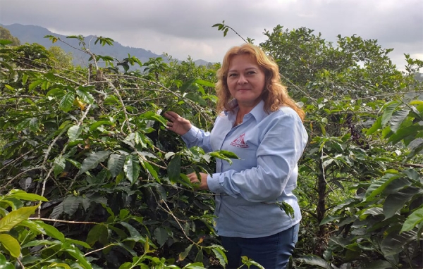 Caficultura, una identidad que no se puede esfumar