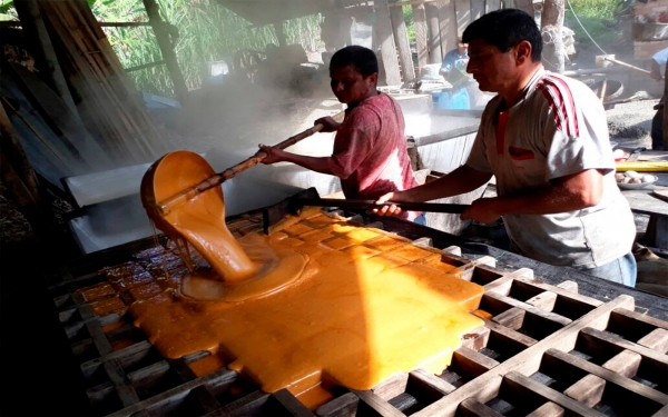 Gobierno impulsa el consumo de panela para salvar el sector