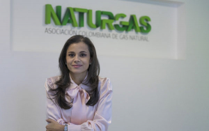 Gas, energ&eacute;tico de transici&oacute;n y lucha contra el hambre y la pobreza: Naturgas