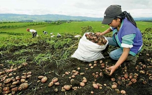 Menos tr&aacute;mites, m&aacute;s agilidad, mayores oportunidades para el Campo