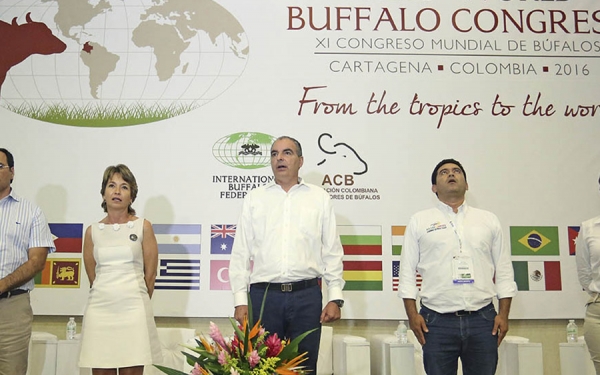 Con el apoyo del gobierno Colombia exportar&aacute; derivados del b&uacute;falo