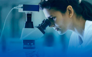 Consenso de Washington, modelo inviable para ricos y pobres: TQ