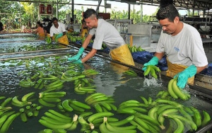 Augura y la Uni&oacute;n Europea fortalecen su relaci&oacute;n comercial