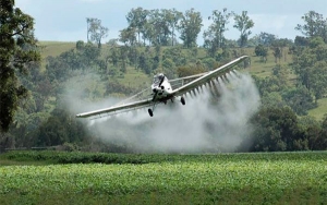 Academia pide a Biden rechazar fumigaci&oacute;n a&eacute;rea de cultivos de coca