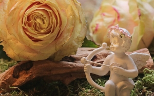 Flores colombianas, unas exportaciones que enamoran en San Valent&iacute;n