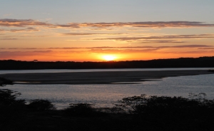 Vichada, un maravilloso embrujo verde entre llanura y selva